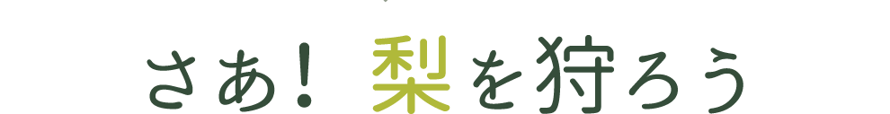 さあ！梨を狩ろう