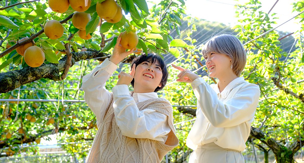 さんこうえんの梨狩り