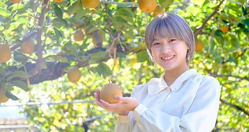 さんこうえんの梨狩り