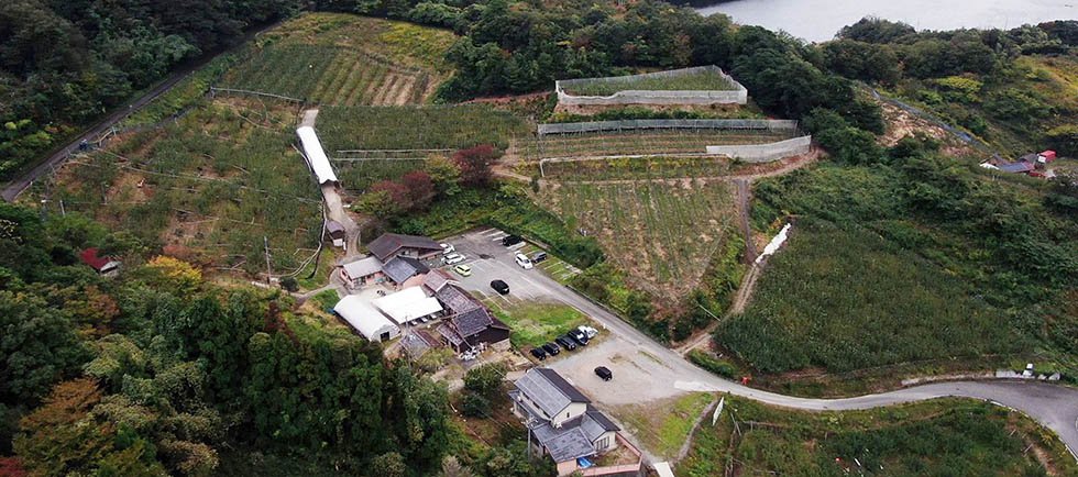 鳥取県の梨狩りさんこうえん